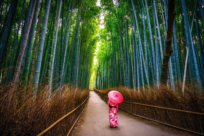 From Kyoto / Osaka: Kyoto Must-see Spots & Nara Park One Day Tour - Why this Kyoto-to-Nara highlight tour is a smart time-saver