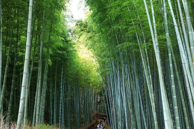 From Kyoto / Osaka: Kyoto Must-see Spots & Nara Park One Day Tour - Getting there in comfort: the van, the guide, and why 9 hours feels long