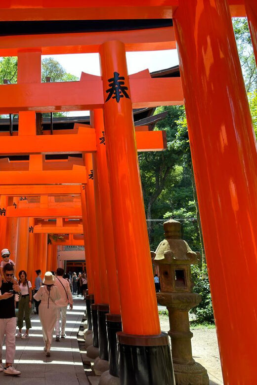 From Osaka/Kyoto: Kyoto, Nara, and Fushimi Inari Day Trip - What to bring (and what not to): keep it smooth