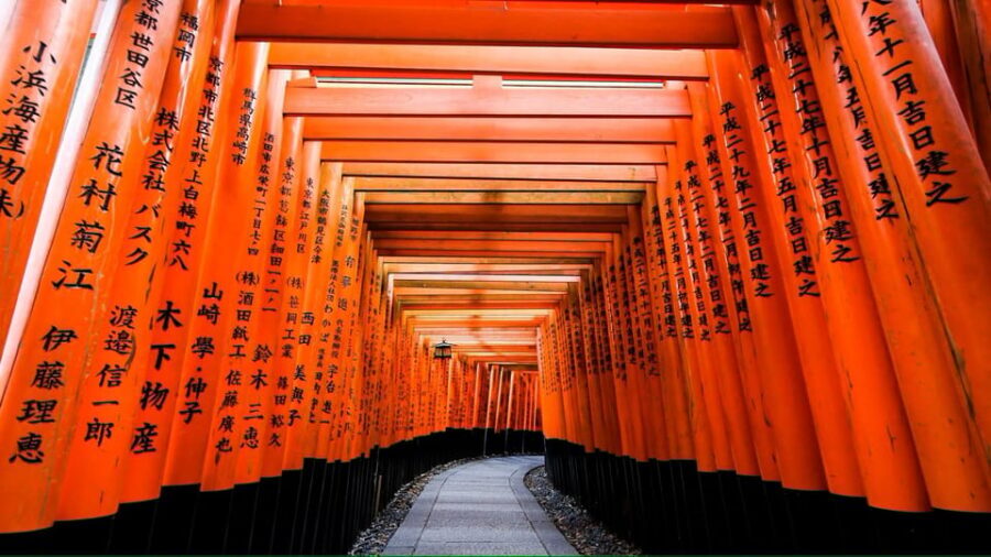 From Osaka/Kyoto: Private Kyoto and Nara Day Trip - Pace, walking, and who should skip this day trip