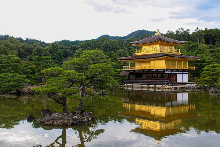 From Osaka/Kyoto: Private Kyoto and Nara Day Trip - Arashiyama Bamboo Forest: calm walking with quick photo time