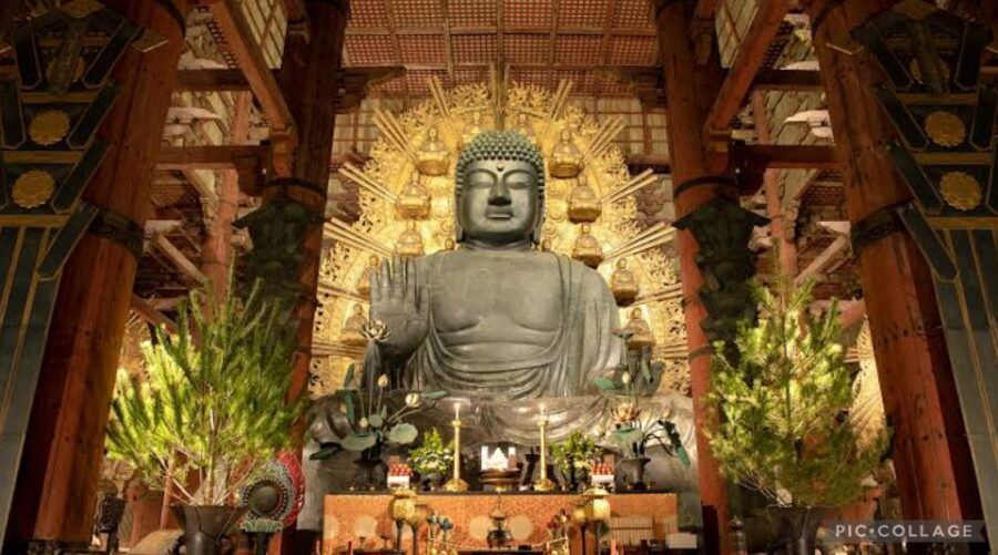 From Osaka/Kyoto: Private Kyoto & Nara Day Trip with Pickup - Should You Book This Kyoto and Nara Private Day Trip?