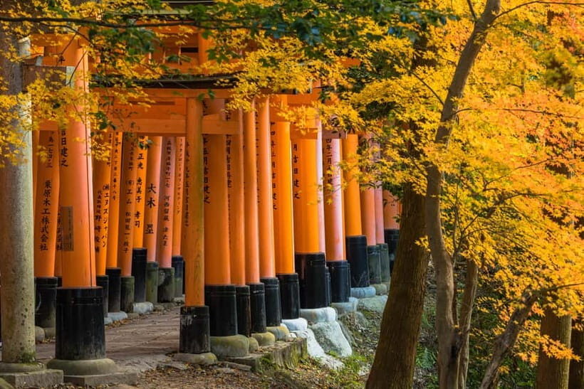 From Osaka: Sagano Train Ride and Kyoto Guided Day Tour - Key highlights you’ll feel on the ground