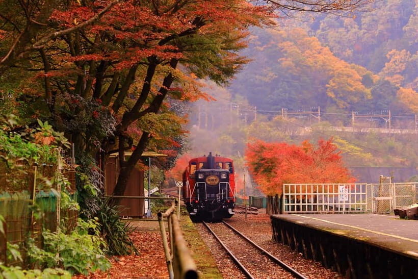 From Osaka: Sagano Train Ride and Kyoto Guided Day Tour - From Osaka to Kyoto: what this “one day” setup really means