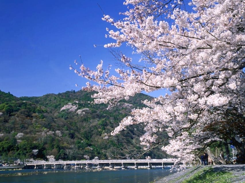 From Osaka: Sagano Train Ride and Kyoto Guided Day Tour - Sagano Bamboo Forest and Togetsukyo: the walk that slows you down