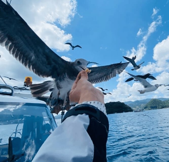 FromOsaka/Kyoto:Hiroshima & Miyajima Private Tour with Lunch - Why Hiroshima and Miyajima as a pair works so well