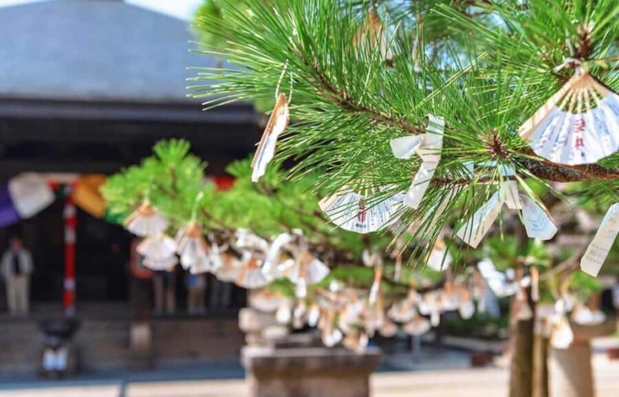 FromOsaka/Kyoto:Hiroshima & Miyajima Private Tour with Lunch - Itsukushima Shrine: floating torii views plus real time to enjoy them