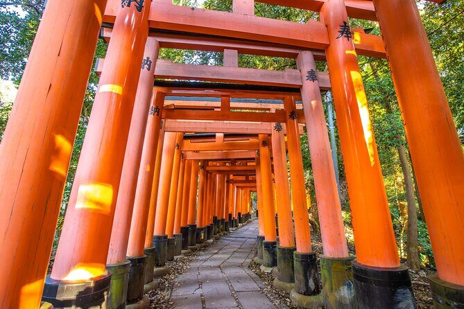 Full Day Guided Tour to Kyoto and Nara from Osaka by Van - Why This Kyoto and Nara Van Day From Osaka Makes Sense