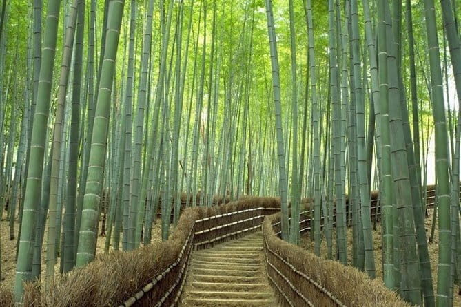 Full-Day Kyoto Group Tour with an Expert Local Guide - Yasaka Shrine: The Vermillion Gates and Festival Heart