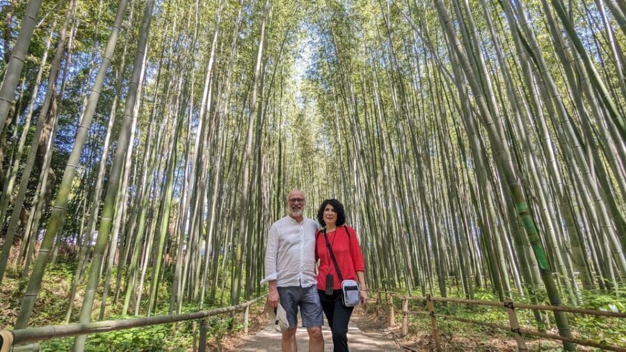 Full-Day Kyoto Walking Tour: Most Iconic Landmarks & Monkeys - Train hop to Arashiyama: why the public transit plan is actually smart