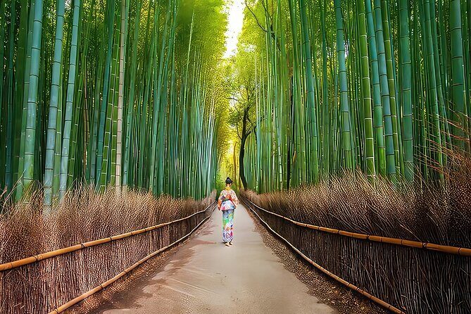 Fushimi Inari - Arashiyama: Torii Gates, Bamboo, Monkeys & Secret - Bamboo Forest Trail: The Short Walk That Still Feels Big