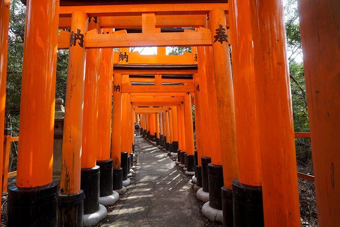 Fushimi Inari Hidden Hiking Tour (Private Option Available) - Why Fushimi Inari feels different on a back-trail route