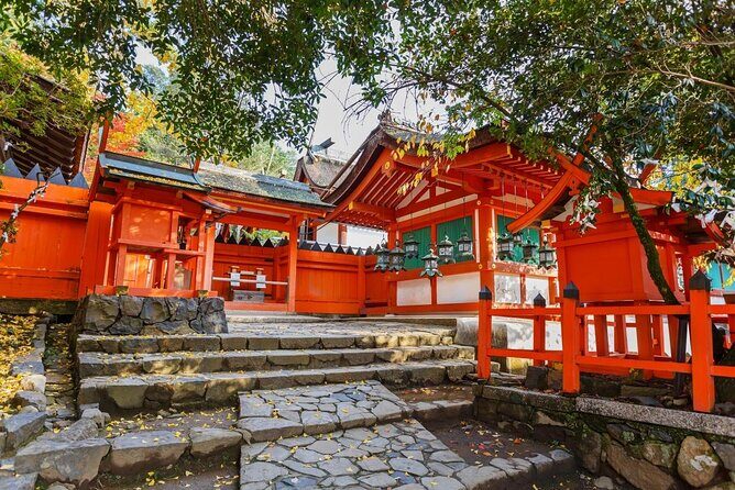 Fushimi Inari & Nara Highlights Walking Tour - Key things to know before you go