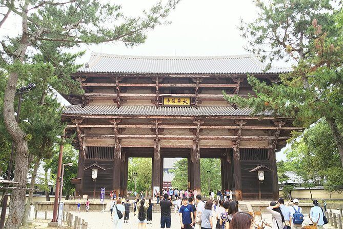 Fushimi Inari & Nara Highlights Walking Tour - Kasuga Grand Shrine: lanterns, branch shrines, and a different kind of atmosphere
