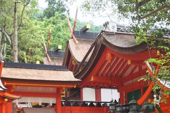 Fushimi Inari & Nara Highlights Walking Tour - Price and value: what $106.10 really buys you