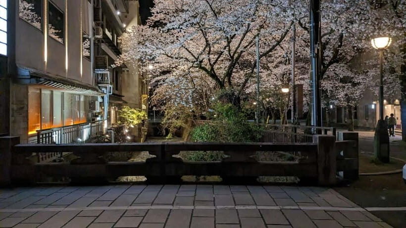 Gion Night Walk:Discover Geisha Culture in Kyoto - Key Points You’ll Care About
