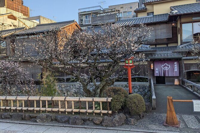 Gion Nocturno: Secretos y Leyendas de las Geishas - Punto de encuentro y ritmo: 2 a 3 horas con un máximo de 15