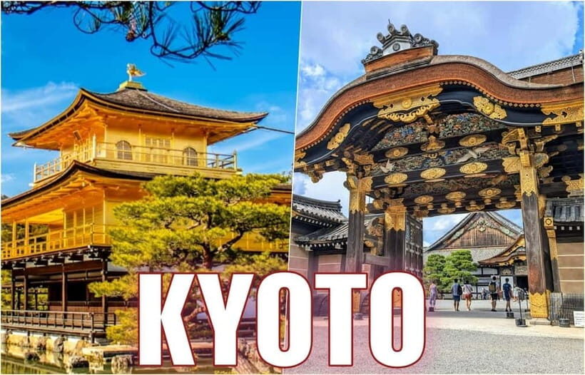 Golden Pavilion, Nijo Castle, & Nishiki Market Half day tour - Nijo Castle: the Edo power struggle you can walk through