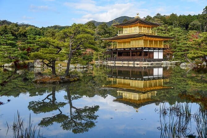 Guided Kyoto City Cherry Blossom One Day Private Tour - Why a Kyoto cherry blossom private day tour is a smart match