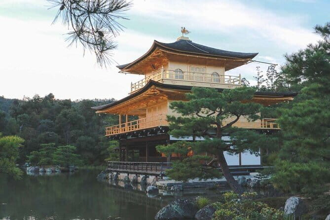Guided Kyoto City Cherry Blossom One Day Private Tour - Getting set up fast: Kyoto Station pickup, mobile ticket, and onboard comfort
