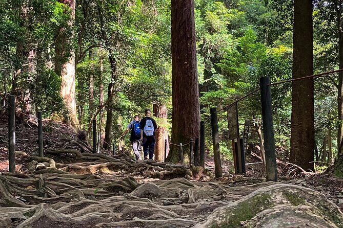 Hike and explore the Kurama and Kibune ancient Paths - Getting there from Kyoto Station (and not wasting your morning)
