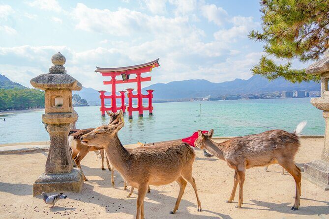 Hiroshima and Miyajima Full-Day Tour from Kyoto by Bullet Train - Hiroshima Station to Peace Memorial Park: switching gears with a guide