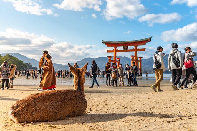 Hiroshima and Miyajima Full-Day Tour from Kyoto by Bullet Train - Itsukushima Shrine: ticket included, but the real value is pacing