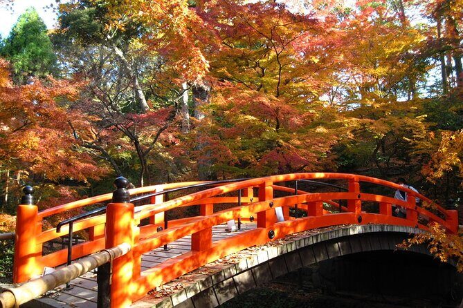 Historical Kyoto E-Bike Tour - Stop 4: Tenryu-ji Temple and the UNESCO garden calm