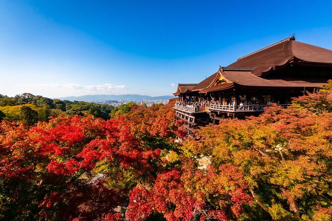 Kiyomizu Temple and Backstreets of Gion, Half Day Group Tour - Key Highlights You’ll Actually Feel During the Walk