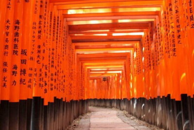 KIYOTO’s Kyoto Private Tour: Highlights & Hidden Gems - Starting in Kyoto: Pickup, short rides, and the rhythm of a walking day