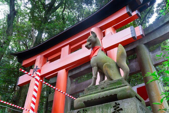Kyoto 1 Day Golden Route Bus Tour - Price and What $71.85 Really Covers