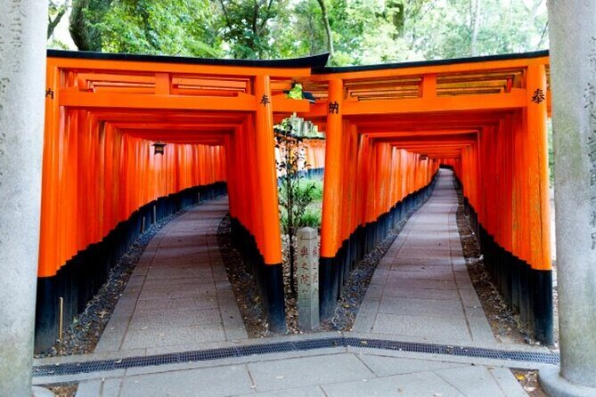 Kyoto 1 Day Golden Route Bus Tour - Stop 4: Tenryu-ji and the Arashiyama Bamboo Grove Walk