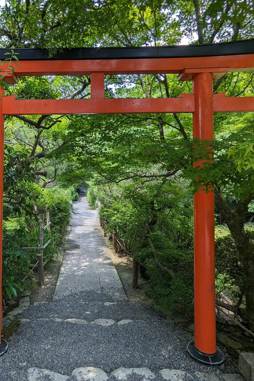 Kyoto: 100% Private Custom Walking Tour (4/8 Hrs) - How this custom Kyoto tour actually gives you control