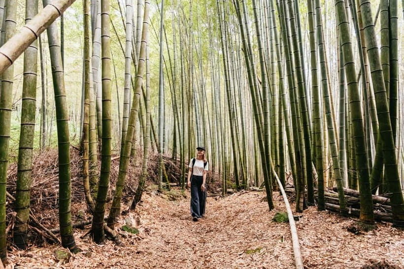 Kyoto: 3-Hour Fushimi Inari Shrine Hidden Hiking Tour - Tofukuji Temple Stop: A Quick Cultural Warm-Up