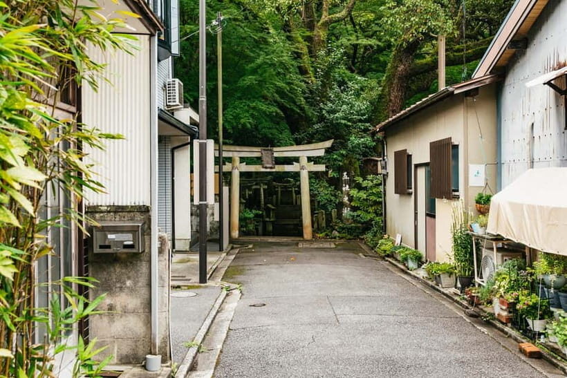 Kyoto: 3-Hour Fushimi Inari Shrine Hidden Hiking Tour - How the Guides Turn a Hike Into Cultural Understanding