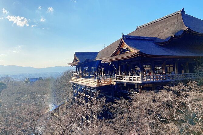 Kyoto 6h Private Tour Fushimi Inari, Kiyomizu, Gion & Hidden Gems - Sanjusangendo and Kiyomizu-dera: two temples, two moods
