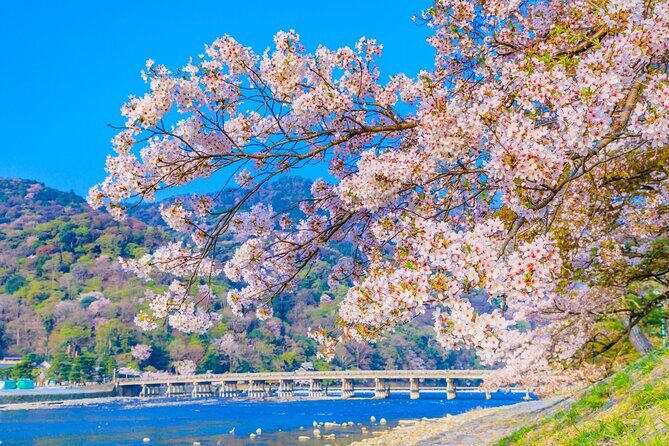 Kyoto 6hr Instagram Highlights Private Tour with Licensed Guide - Yasaka Shrine and Gion: old Kyoto in photo form