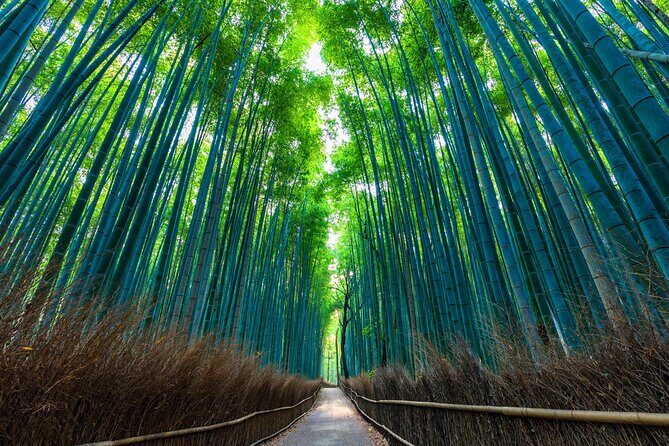 Kyoto 6hr Instagram Highlights Private Tour with Licensed Guide - Arashiyama at first light: Togetsukyo Bridge and Bamboo