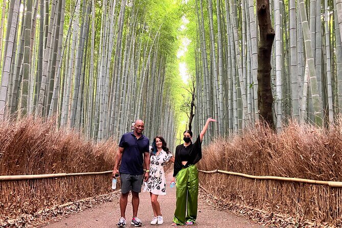 Kyoto 8hr Private Tour with Government-Licensed Guide - Who this tour suits best (and who might skip it)