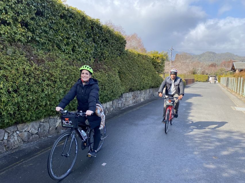 Kyoto: Afternoon Bamboo Forest and Monkey Park Bike Tour - Cost and value: what you’re really paying for at $106