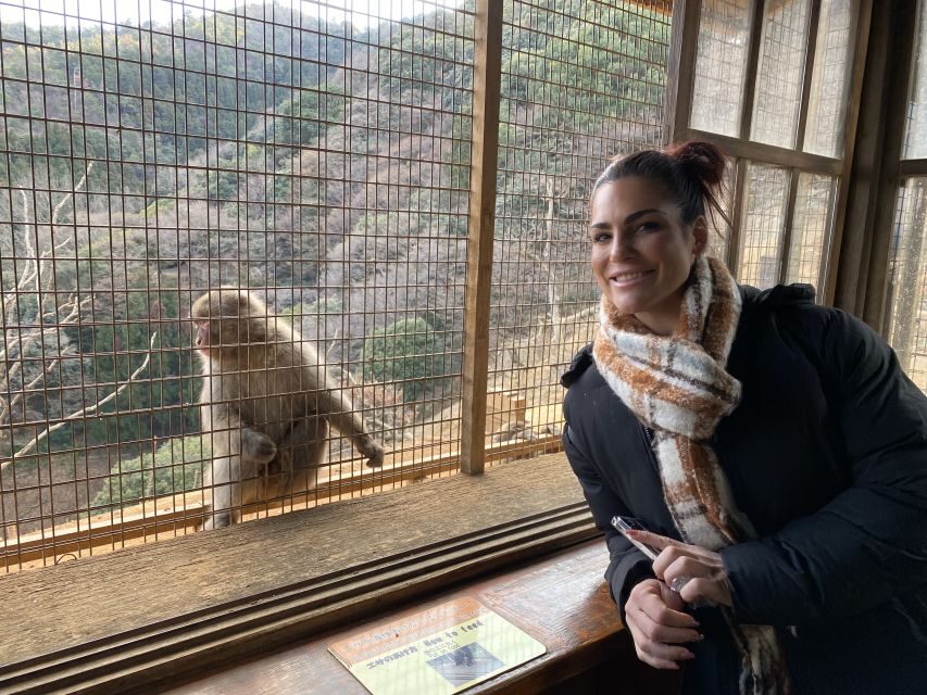 Kyoto: Afternoon Bamboo Forest and Monkey Park Bike Tour - Arashiyama Bamboo Forest on two wheels