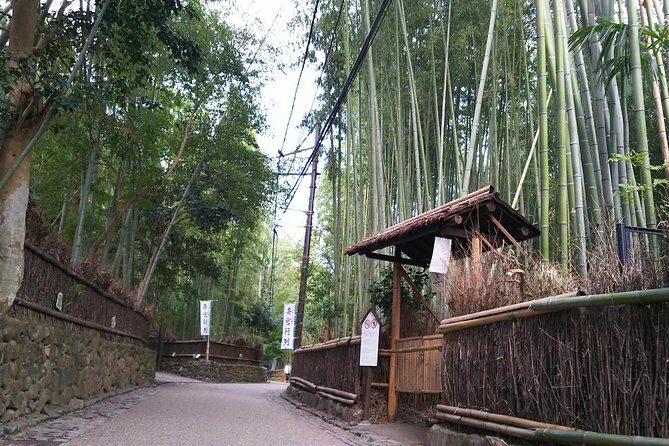 Kyoto and Nara 2-Day Tour: Golden Pavilion, Todaiji, Deer Park - Meeting at Kyoto Station: fewer headaches, more sightseeing