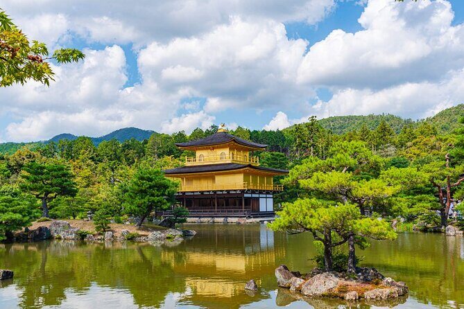 Kyoto and Nara Day Tour from Kyoto - Key things you’ll notice right away