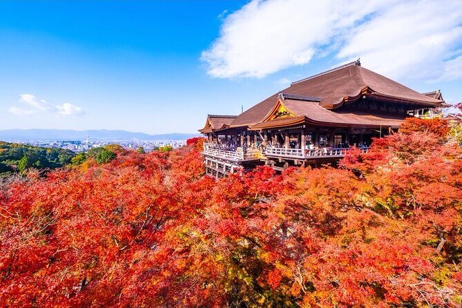 Kyoto and Nara Private Car Tour with a Local English Guide Driver - Fushimi Inari First: Get the Torii Moment While the Day Is Fresh