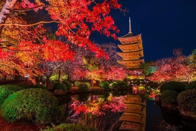 Kyoto and Nara Private Car Tour with a Local English Guide Driver - Guide and Driver: The Safety and Story Combo