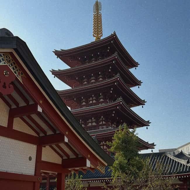 Kyoto and Nara: Private Customized Tour with Guide & vehicle - Key points I’d highlight before you go