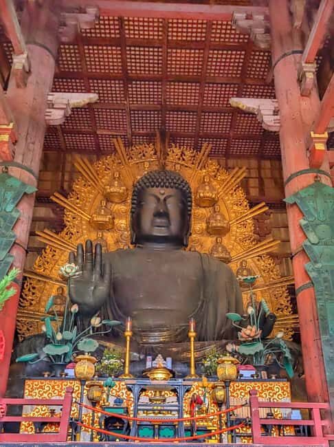 Kyoto and Nara: Private Customized Tour with Guide & vehicle - How this private format changes Kyoto and Nara