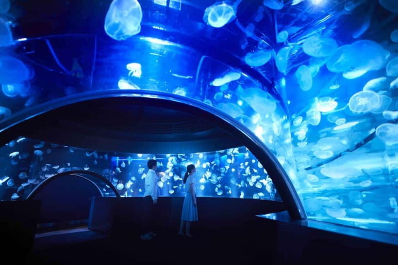 Kyoto Aquarium Admission Ticket - Key Things to Know Before You Go