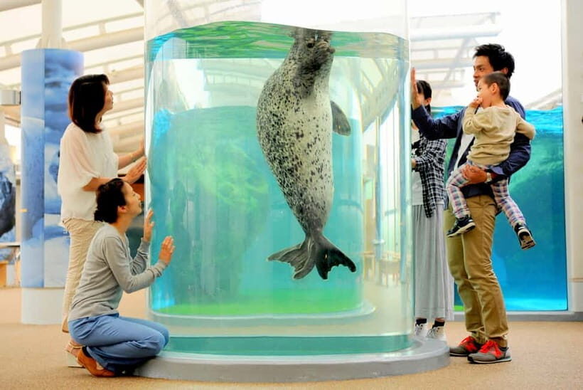 Kyoto Aquarium Admission Ticket - Getting There: Umekoji Park Makes the Day Feel Easy
