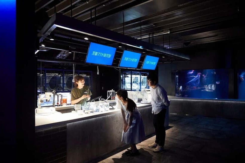 Kyoto Aquarium Admission Ticket - Giant Salamanders: Rare, Ancient, and Hard to Forget